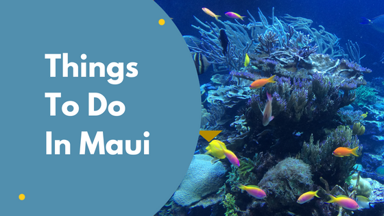 What To See On Maui?
