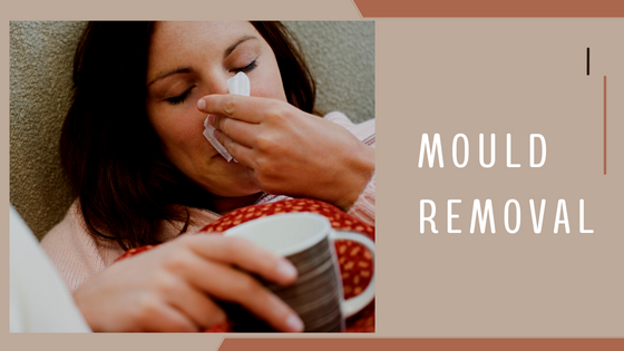 Common Sydney Mold Types