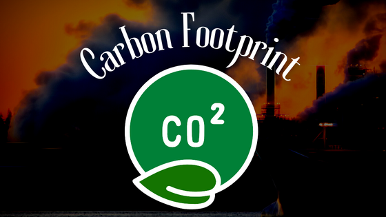 How Can We Be Carbon Neutral?