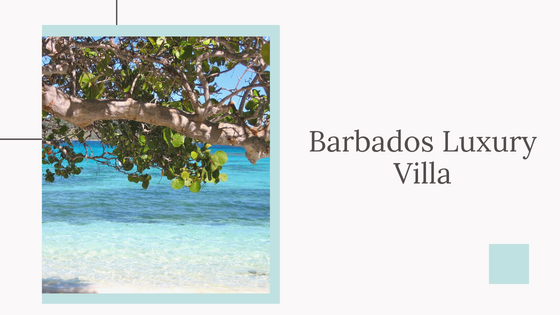 Ultimate Luxury Trip To Barbados