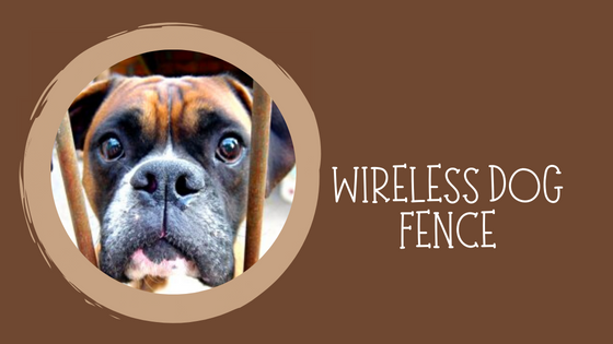 Virtual Dog Fence Systems