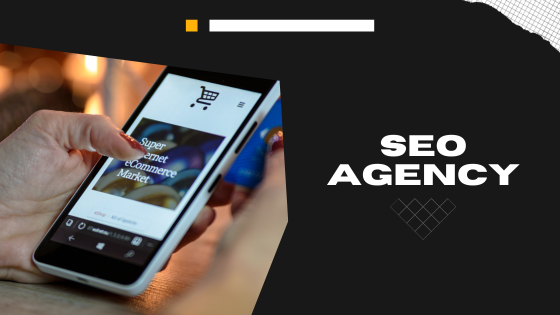 Benefits of Hiring a Professional SEO Agency in Ireland