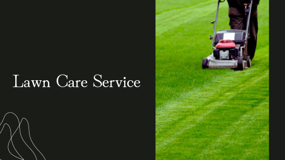 Lawn Renovation Services in the UK