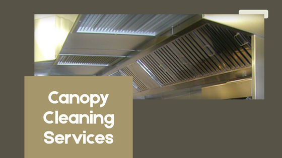 Why You Need Professional Canopy Cleaning